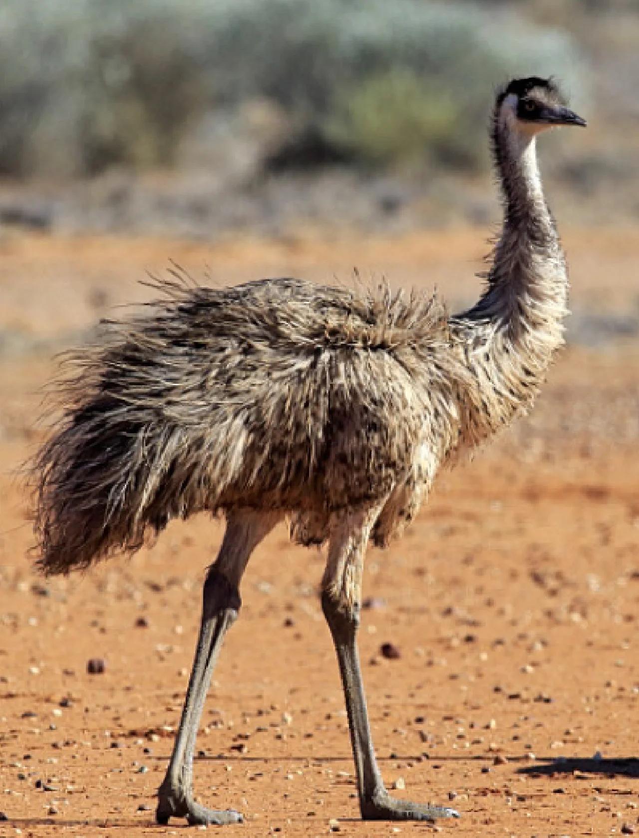 开云官方网站-橜?